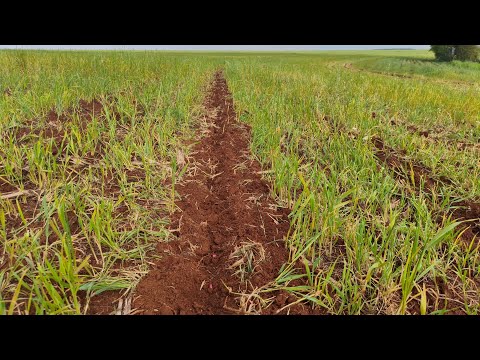Planting doesn't always go perfectly. And that's the reality.
