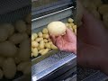 Brush Roller Washer and Vegetable Peeler
