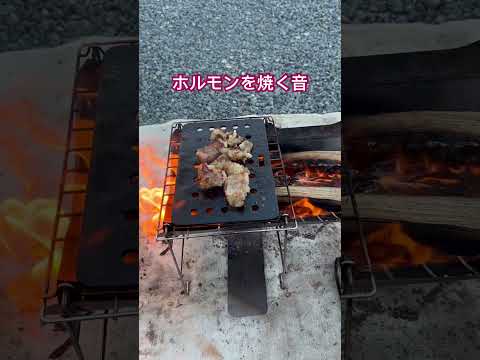 キャンプ場でホルモンを焼く音を楽しみ下さい！ #キャンプ #キャンプ飯 #ホルモン