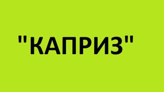 КАПРИЗ бытовая техника купить заказать бытовую технику Глухов цены недорого(, 2015-04-21T11:42:24.000Z)