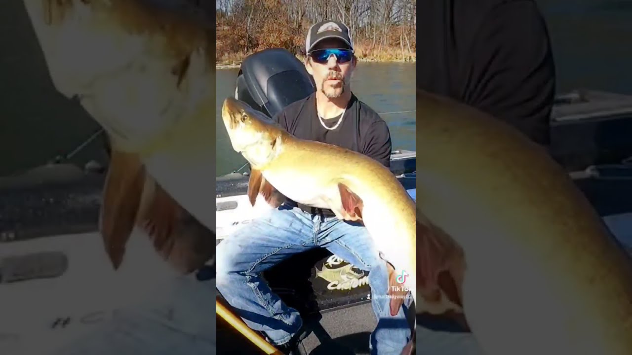 Big Musky Ridgwaycustoms Muskyfishing Fishing Bigbait Bigfish