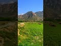 الريف البارقي محافظة بارق 4