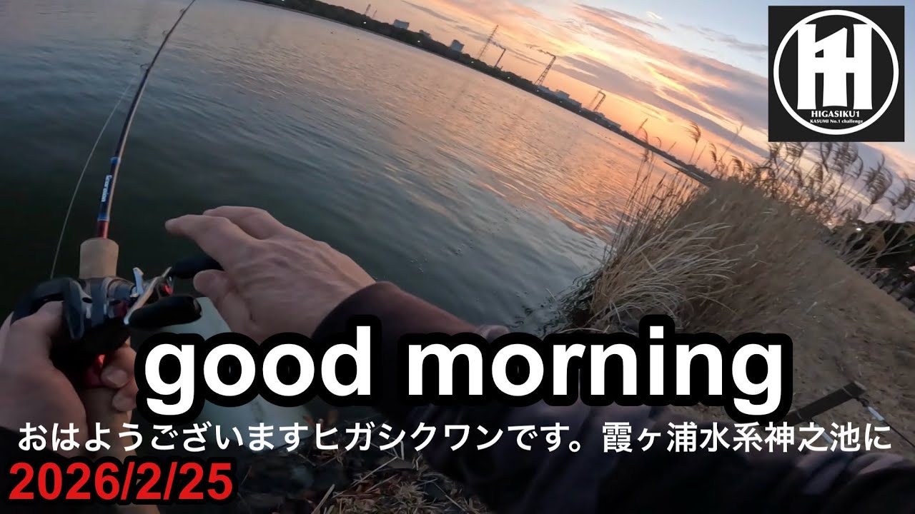 バス釣り霞ヶ浦！神之池での朝の釣行は気持ちいい2026年2月23日