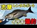 志摩のレンタルボートでイサキが連発【長久マリン】
