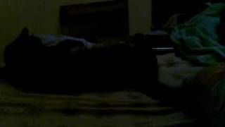 Capture 20090430