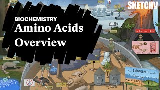 Amino Acids | Proteins | MCAT Biochemistry Review | Sketchy MCAT