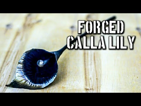 Video: Jenis Calla Lily: Pelajari Tentang Berbagai Varietas Calla Lily
