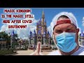 Magic Kingdom - Is it worth it in 2020? Post Covid Shutdown!