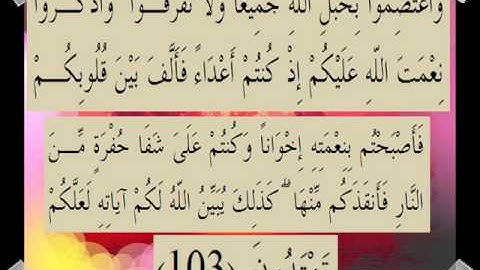 القران الكريم سورة آل عمران الأية 103