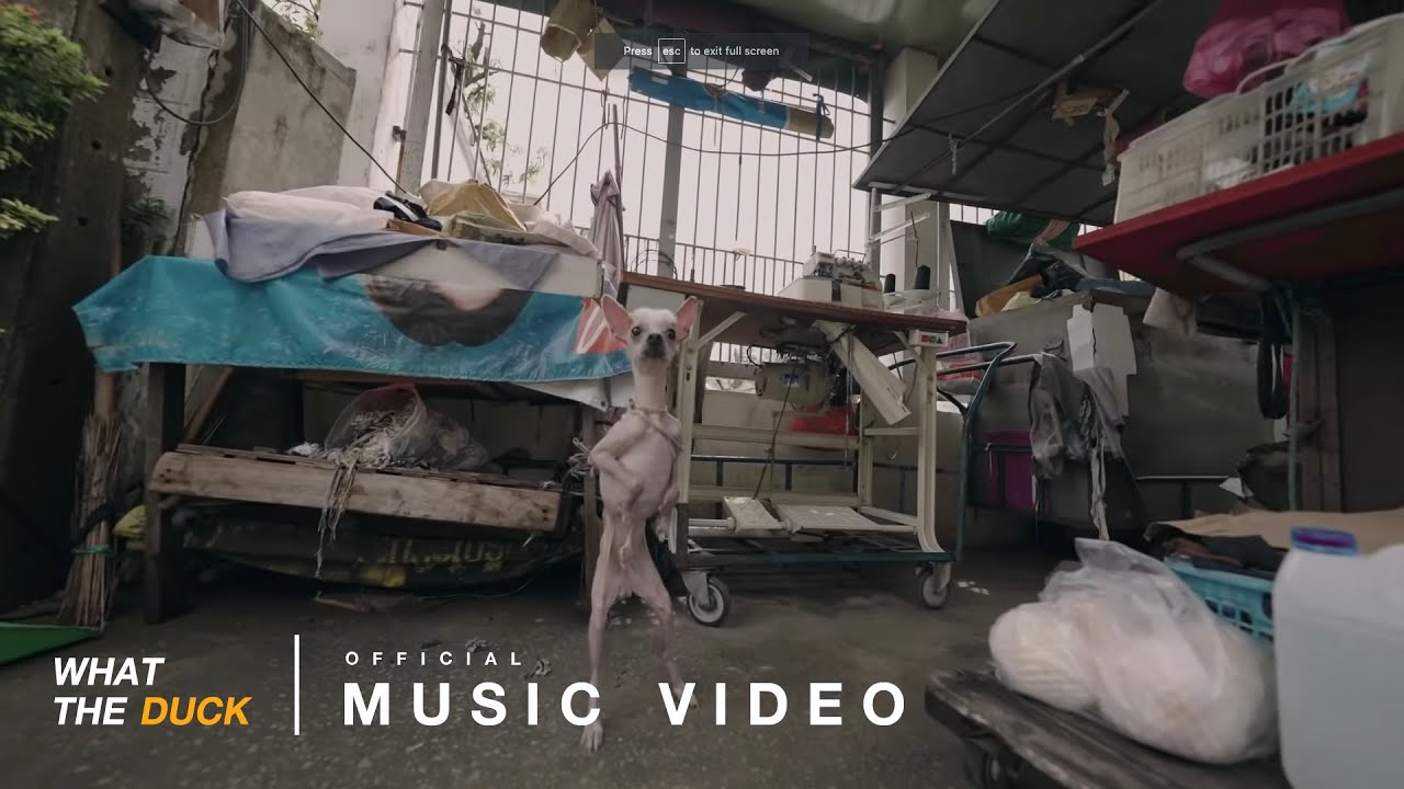 ปกเพลง หมา (Dog) — PAE ARAK