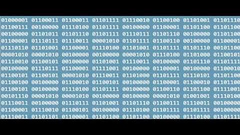 The Entire Bee Movie Script But It