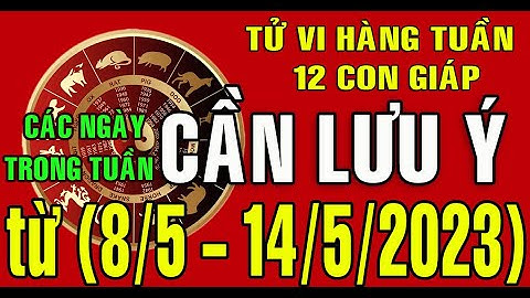 Tử vi Tuần mới (08/5 - 14/5/2023) CÁC NGÀY CẦN LƯU Ý TRONG TUẦN cho 12 con giáp