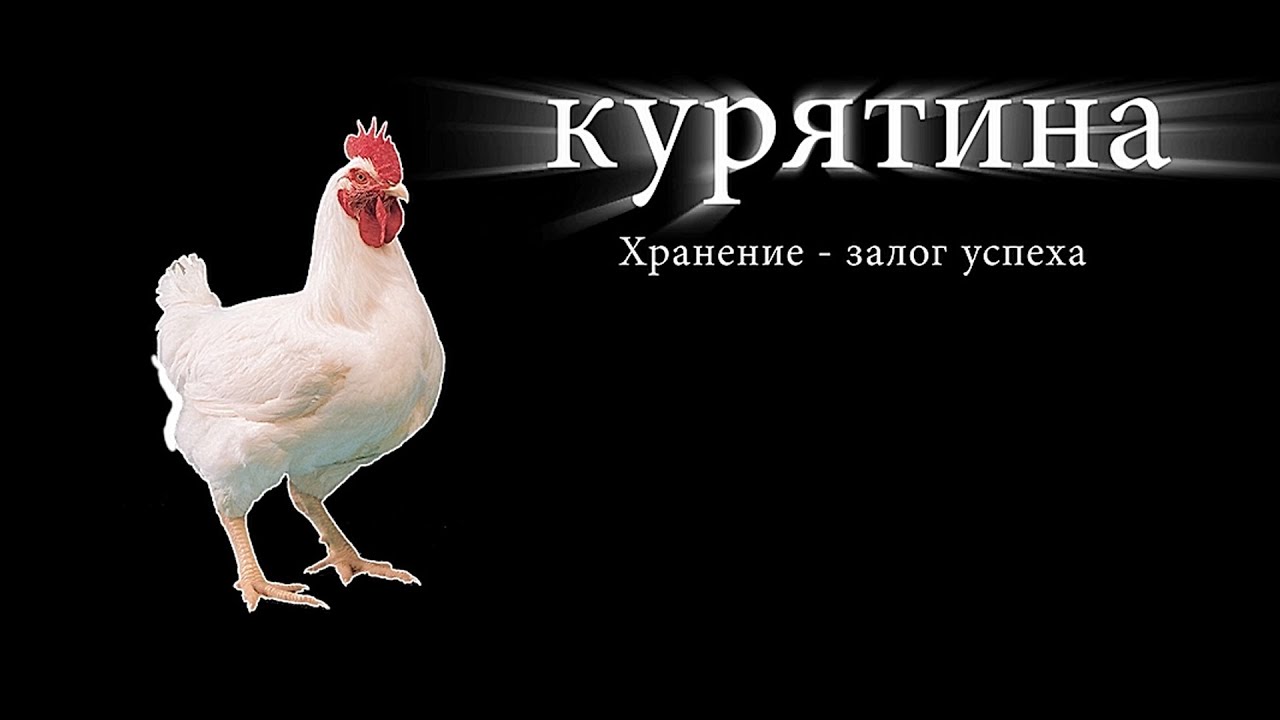 Хранение - залог успеха - курятина