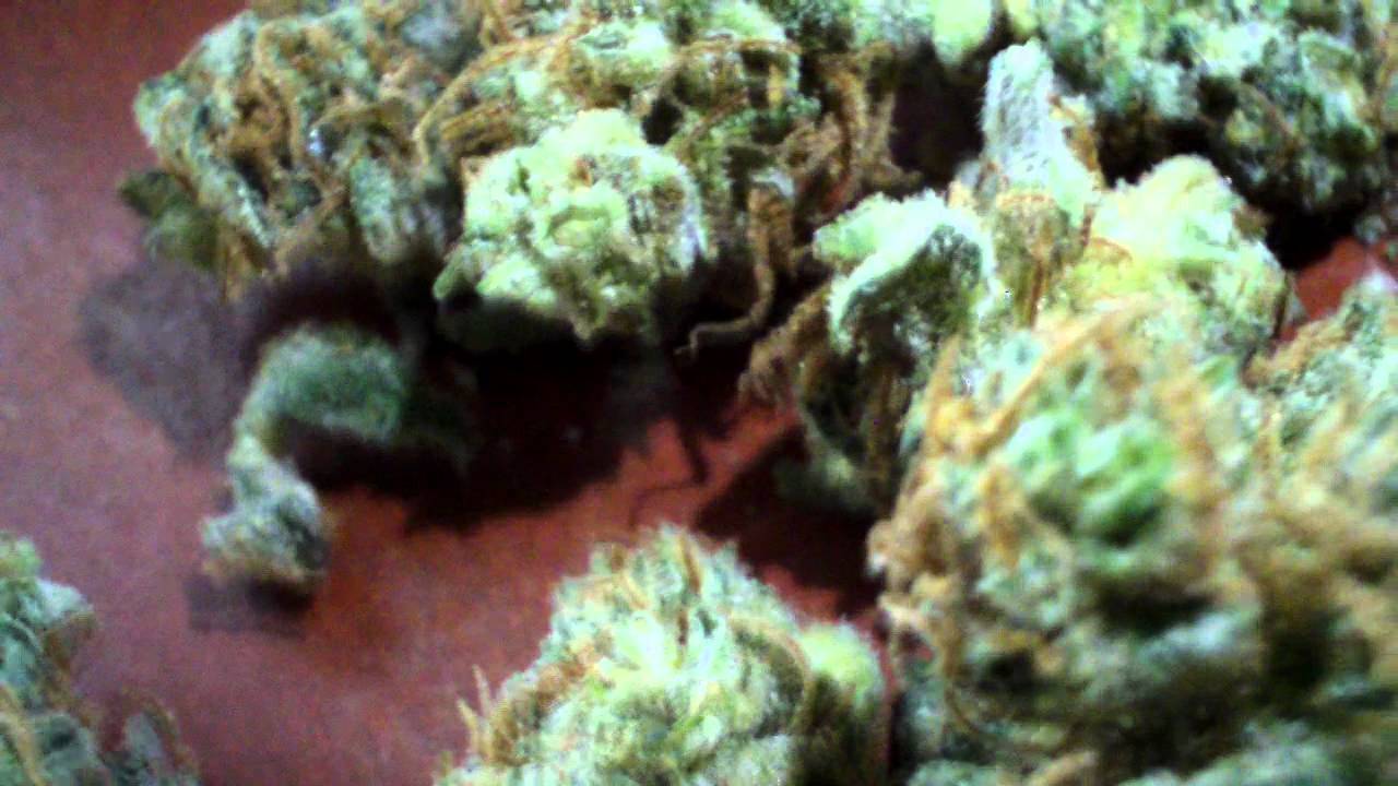 Nepalese Kush 2 better light