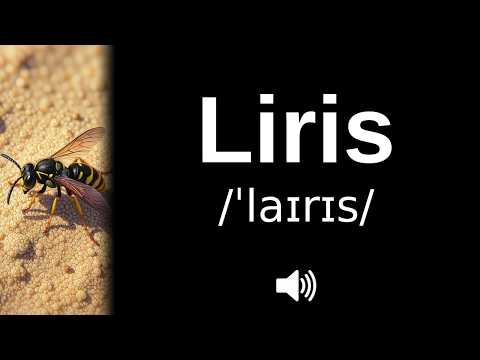 Video How to pronounce Liris (CORRECTLY!)