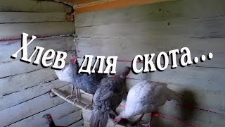 ХЛЕВ ДЛЯ СКОТА//деревенские будни ХЛЕВ ДЛЯ СКОТА//деревенские будни