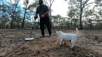 GPX6000 - Frustrating ground noise sample