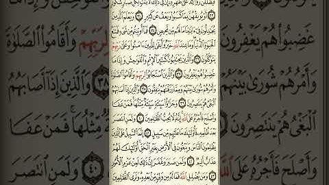 @آيات مباركة من سورة( الشورى) اخي الفاضل تفكر بها من الآية الكريمة (٣١-٤٤)
