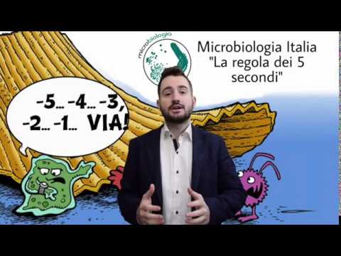 Video: Qual è la regola dei 5 secondi?