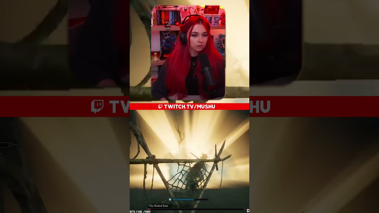 Streamer gives a lesson to chat in real time #LOTF #shoryts