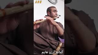 Gomanam arzo hayam - tolaگمانم آرزو هایم با توله بسیار عالی