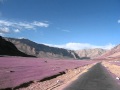 nitin tomar leh trip 2009