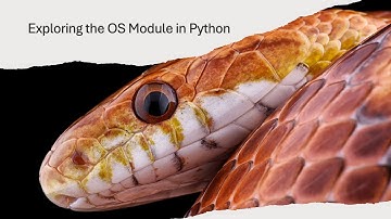 Exploring the OS Module in Python