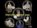 Мавлид на аварском про устаза Саида Афанди(къ.с)