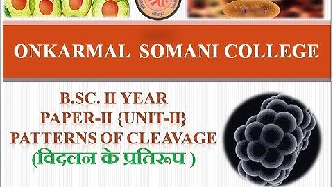 (Lt-8) Developmental Biology || Patterns of cleavage-विदलन के प्रतिरूप || B.Sc II Year