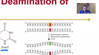 Chem 435 Chapter 3 Section 1 Part 2 Pre recorded Lecture