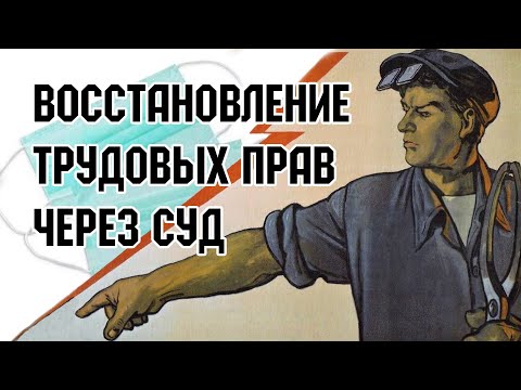 Намордник. Работодатель. Увольнение. Защита в суде