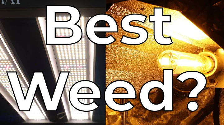 What grows better weed LED or HPS?