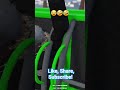 When it's in ya mouth you swallow!🤣😂😂 #gtaonline #funny #pc #gtav #rp #viral
