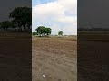 “2026 Ka Sabse Trending Shorts 🚀”#FYP #SahulSingh #TrendingVideo #ShortsViral #ViralShorts