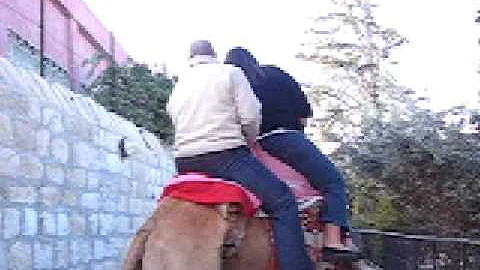 Matt & Bobbi Wiley's Camel adventure - Part 1