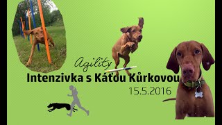 • Intenzivka s Káťou Kůrkovou 15.5.2016 • by Dogs Vlogs 40 views 7 years ago 3 minutes, 15 seconds