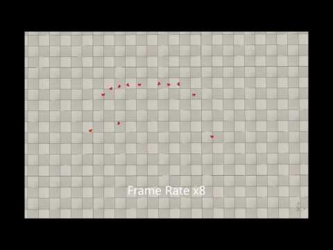 VREP Video
