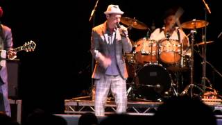 The Dualers - Too Experienced chords