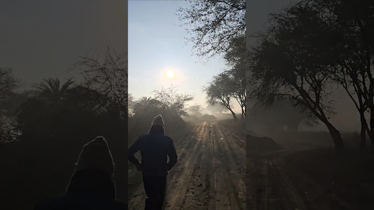 Day 18 🌅 | Morning Calm ✨ Sunrise & Birds Sound 🍃 