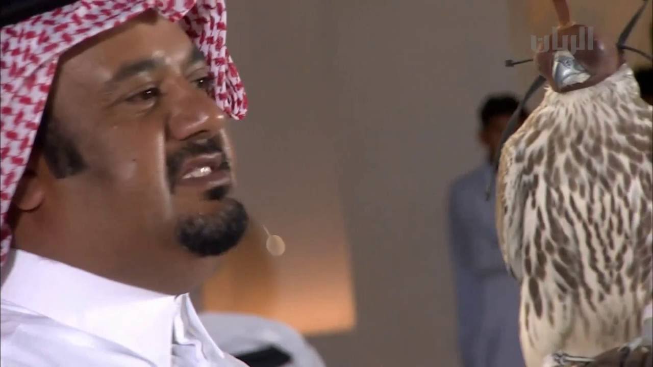 مزاد الطيور في سوق واقف - 04-10-2016