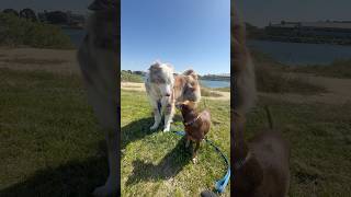 Meet up with friends