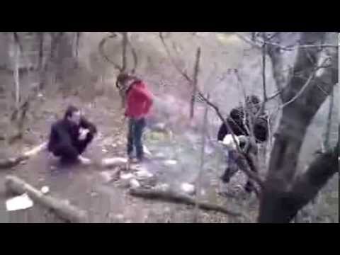 წიწამური 10 02 2013