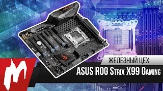 Хищная плата – Материнская плата ASUS ROG Strix X99 – Железный цех – Игромания