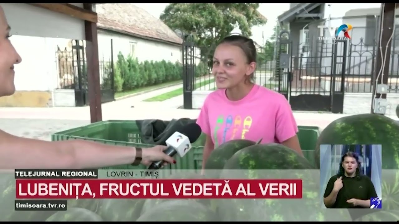 Productia de lubeniță e bună, dar profitul se lasă așteptat #StiriRegionale