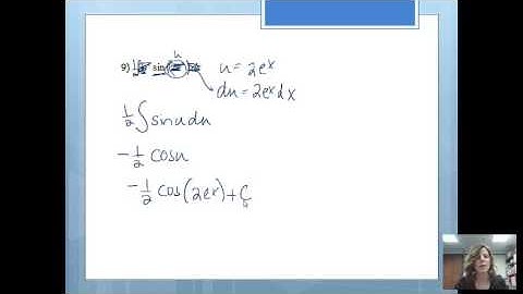 The Integral of the Natural Exponential Function