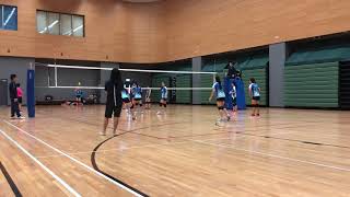 20180809 排球挑戰賽5-6名vs孔仙洲 第三局1
