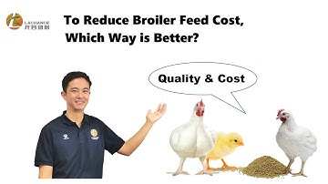 Reduce Broiler Feed Cost, Which Way is Better? | Promote Absorption of Fat & Oil | Bile Acids