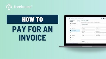 How clients can to pay invoices in Treehouse
