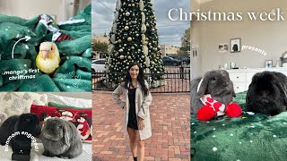 I got engaged! | Christmas week, mango's first Christmas, tons of gifts by Dumbo and Bear 297 views 3 months ago 11 minutes, 23 seconds