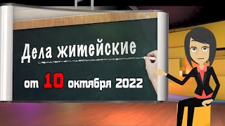 Дела житейские  от 10.10.22